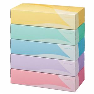 TANOSEE ティッシュペーパー5colors 200組/箱 1セット（60箱：5箱×12パック）